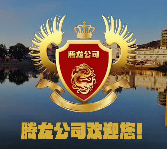 腾龙专业客服团队办公场景